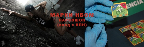 амф Верея