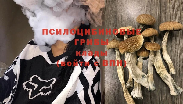 бошки Богородск