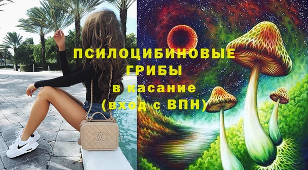 амф Верея
