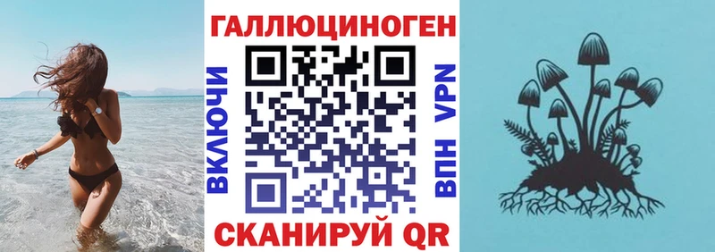 Псилоцибиновые грибы прущие грибы  Купить  Глазов 